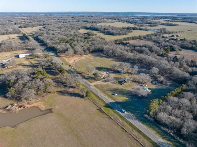 a view of a forest with trees in the background