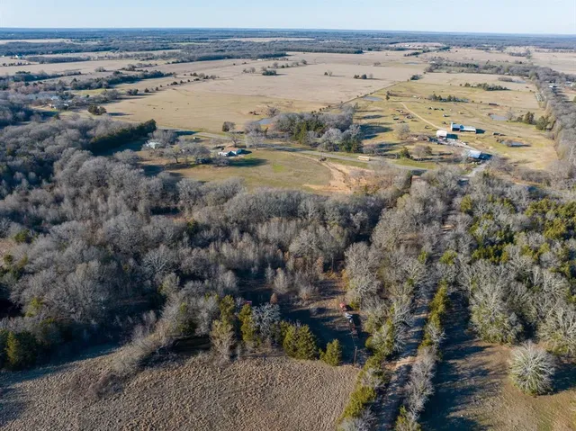 a view of outdoor space and tree
