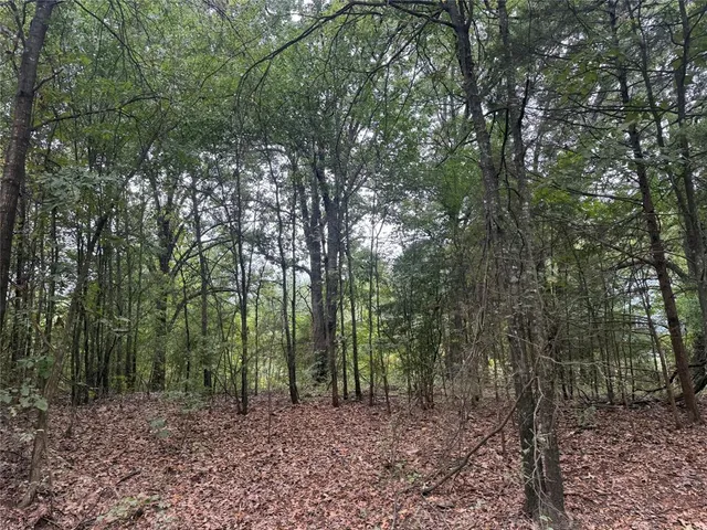 $223,414 | 1 Fm-1396, Ivanhoe, TX 75447