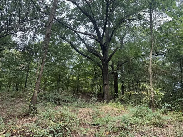 $223,414 | 1 Fm-1396, Ivanhoe, TX 75447