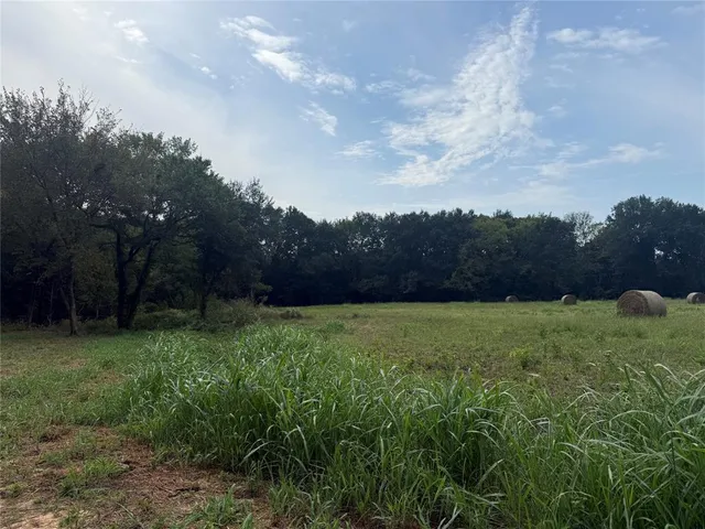a view of a lush green outdoor space with a lake view