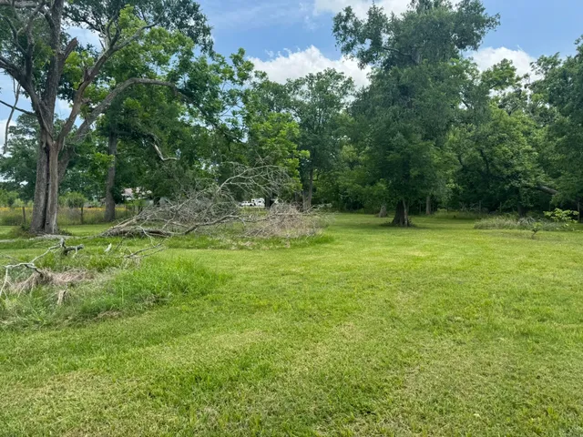 a view of a field with a trees in the background
