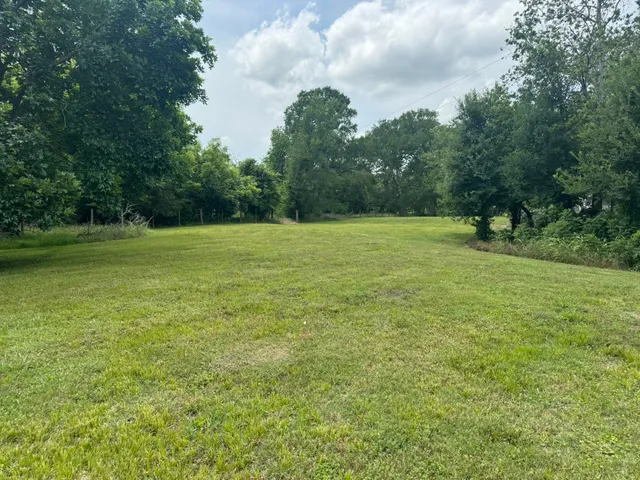 a view of a field with a trees in the background