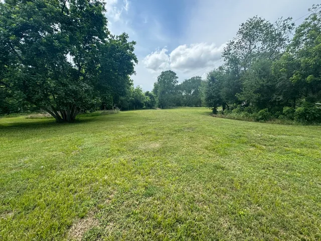 a view of field with tall trees