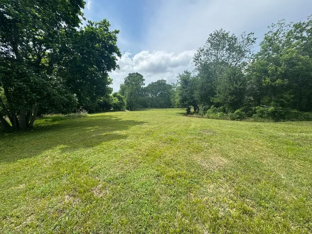a view of a field with a trees in the background