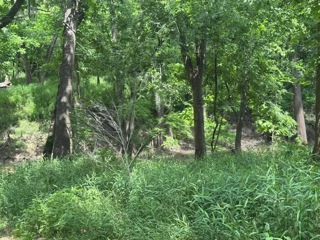 a view of a green field