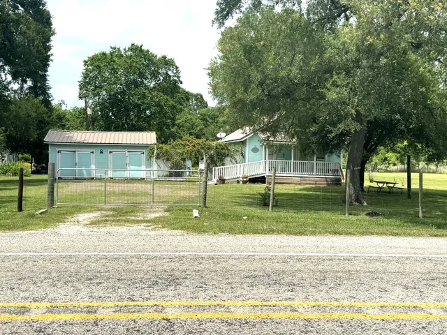 a view of a park with large trees