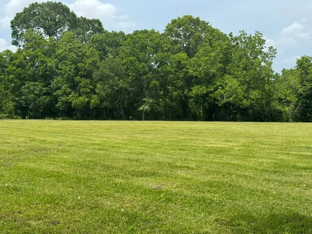 a view of a garden with an outdoor space