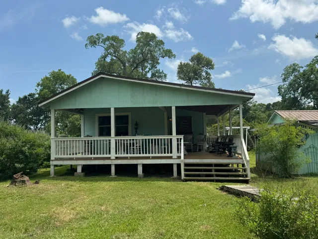 a view of a garden with a tree