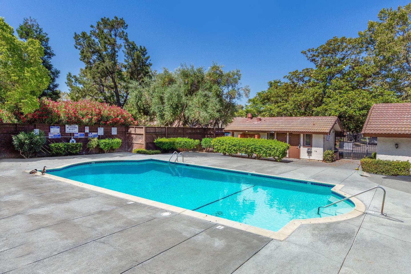 4017 Gold Run Way San Jose, CA 95136 - Photo 24 of 25 a view of swimming pool with outdoor seating and a garden