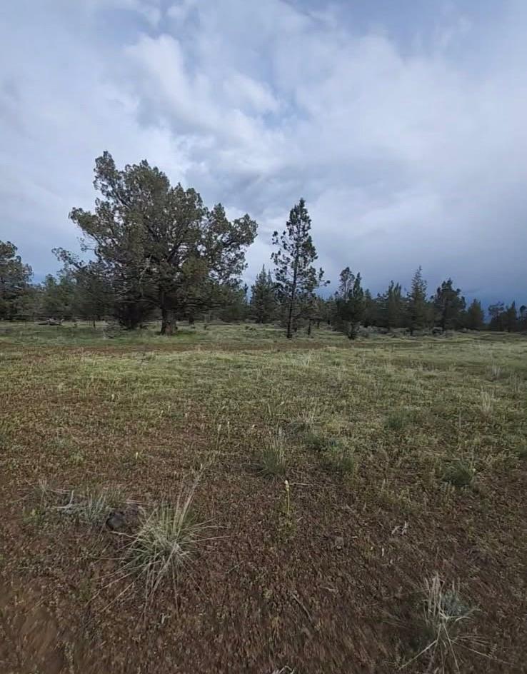 a view of a field with trees in background