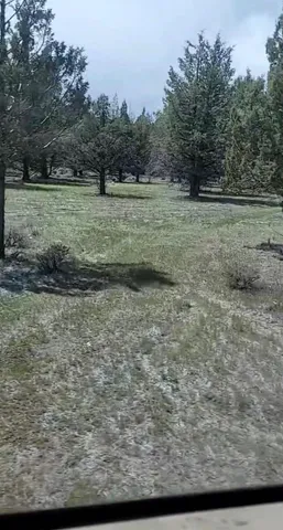 a bathroom with a shower and a shower curtain