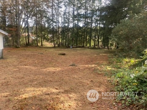 22604 Yeager Road Monroe, WA 98272 - Photo 6 of 21 a view of outdoor space with trees