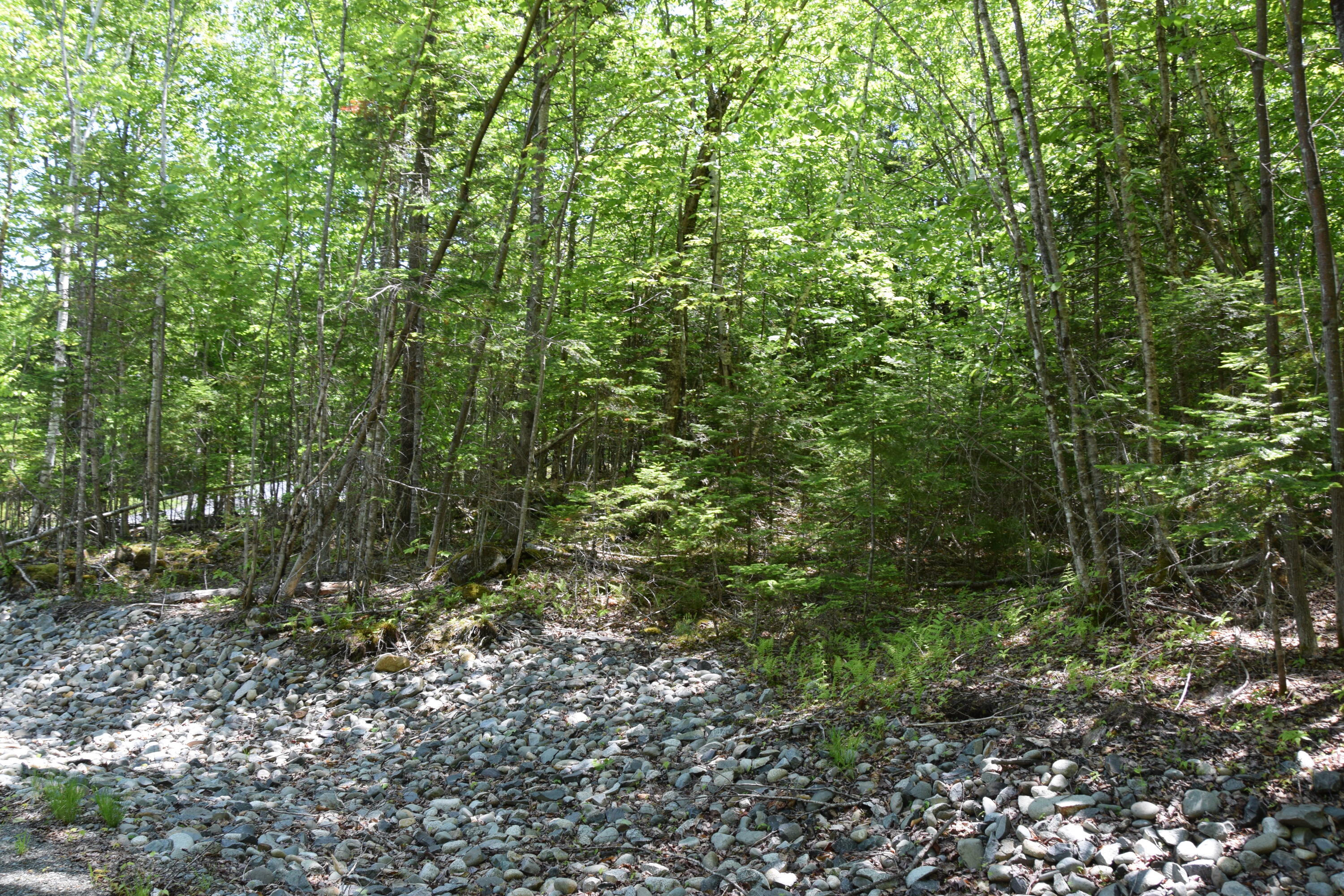 M7-l1-4 Pine Bluff Road Embden, ME 04958 - Photo 12 of 21 DSC_0016