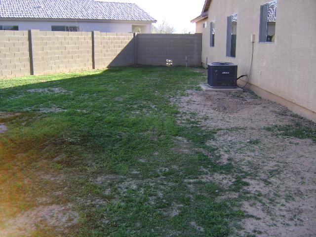 7308 West Cordes Road Phoenix, AZ 85043 - Photo 6 of 6 Backyard