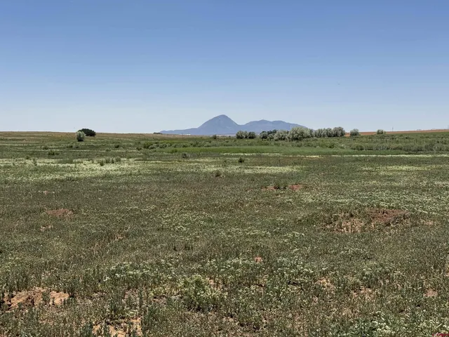 $975,000 | 18606 Road Z Yellow Jacket Co 81335, Yellow Jacket, CO 81335