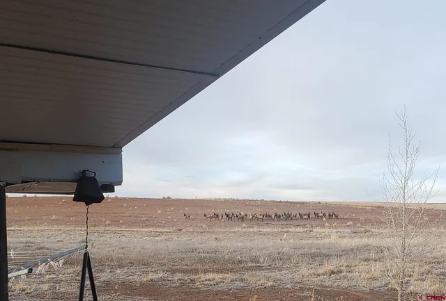 $975,000 | 18606 Road Z Yellow Jacket Co 81335, Yellow Jacket, CO 81335