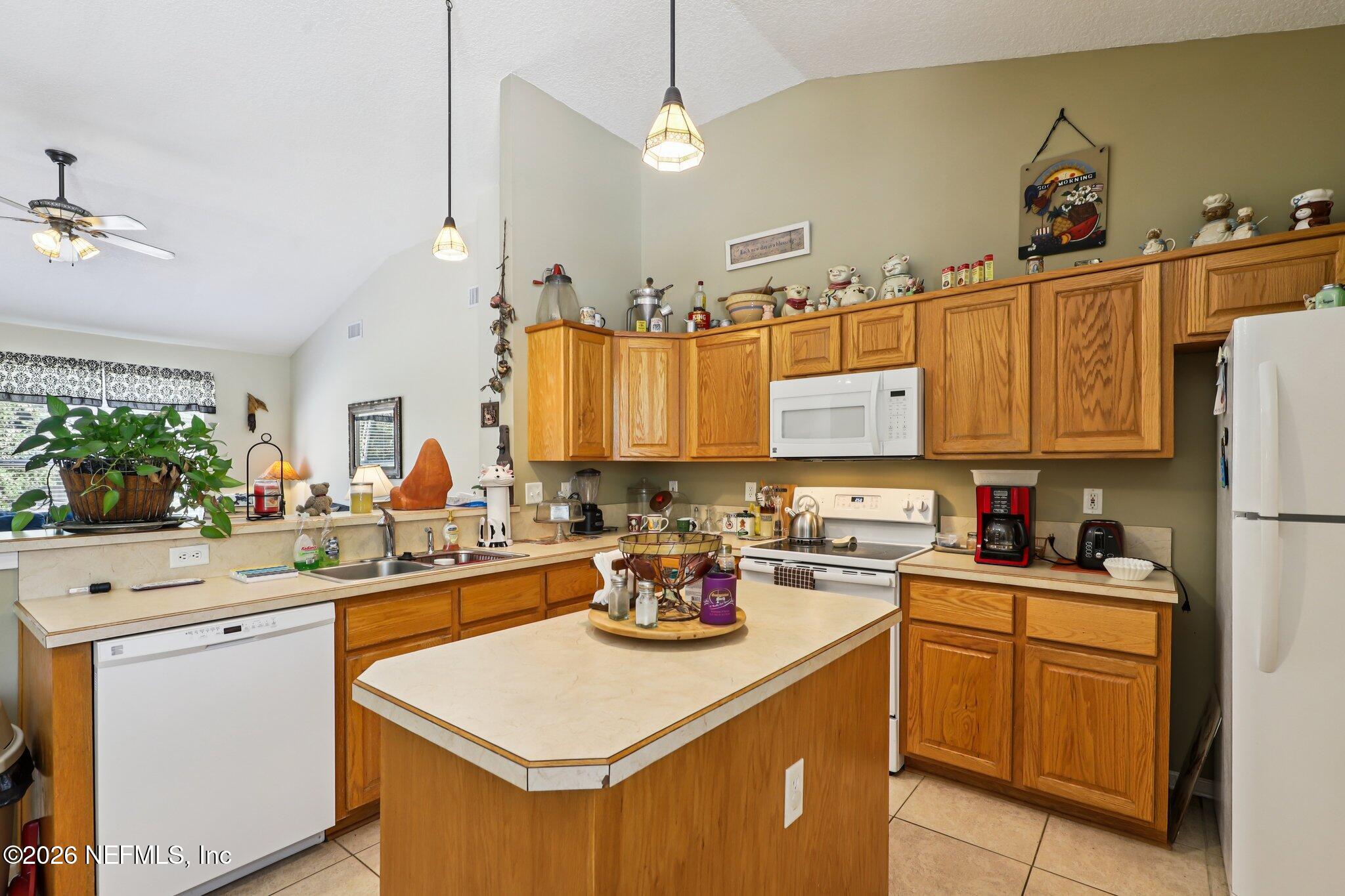 1229 Cactus Cut Road Middleburg, FL 32068 - Photo 20 of 51 Island