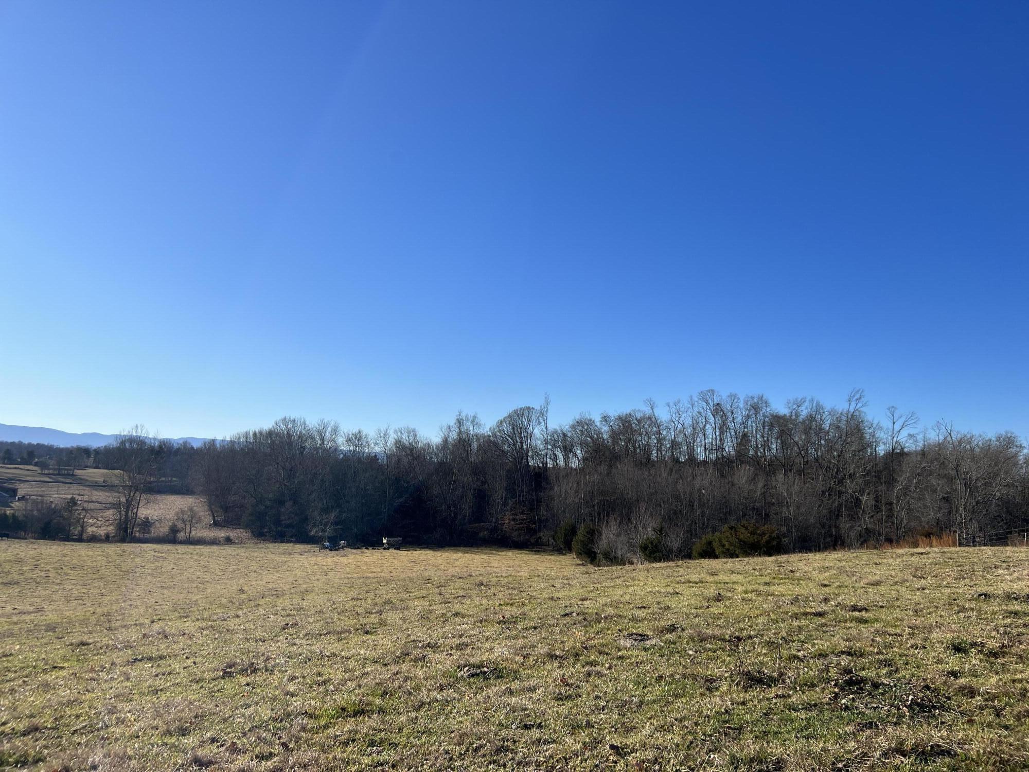 290 Lazy Brook Road Chuckey, TN 37641 - Photo 50 of 103 4D3B7684-7EA8-47D4-99D3-EEA97B8B5602