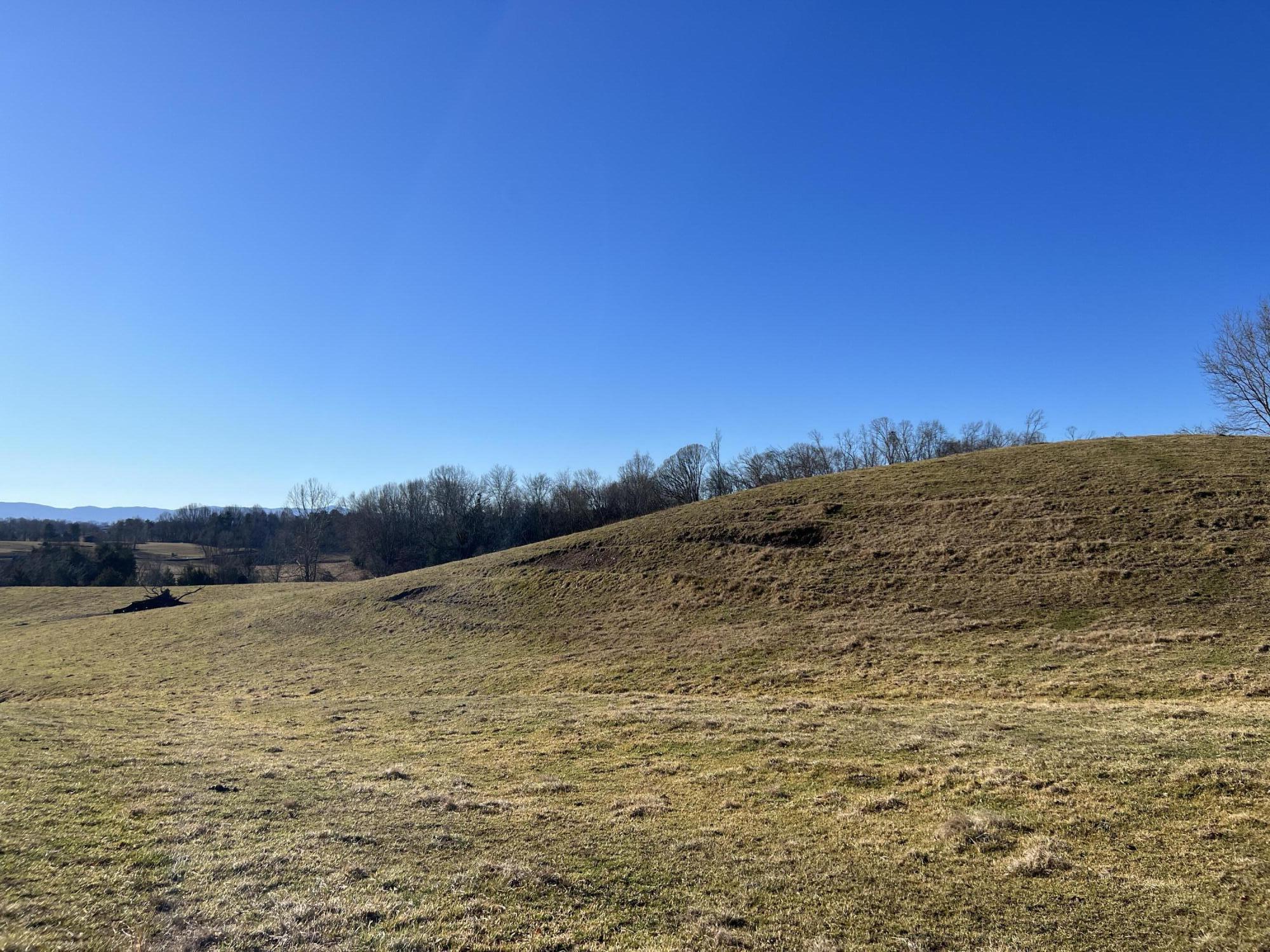 290 Lazy Brook Road Chuckey, TN 37641 - Photo 54 of 103 885FB8CC-B6C1-4DBF-855B-6FFC210C01FE