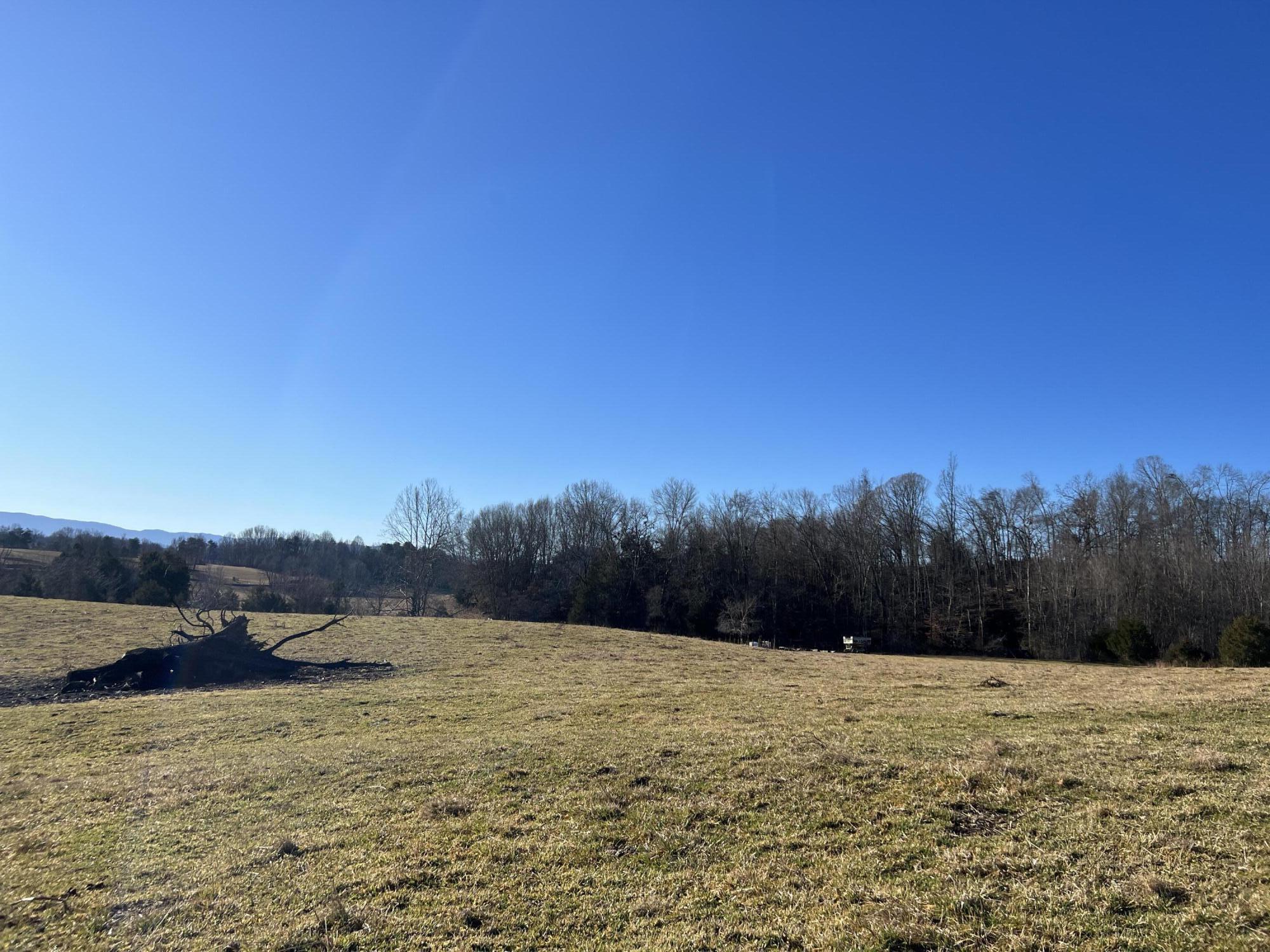 290 Lazy Brook Road Chuckey, TN 37641 - Photo 56 of 103 896D633C-859A-4A4C-B756-4661CED6AEA2