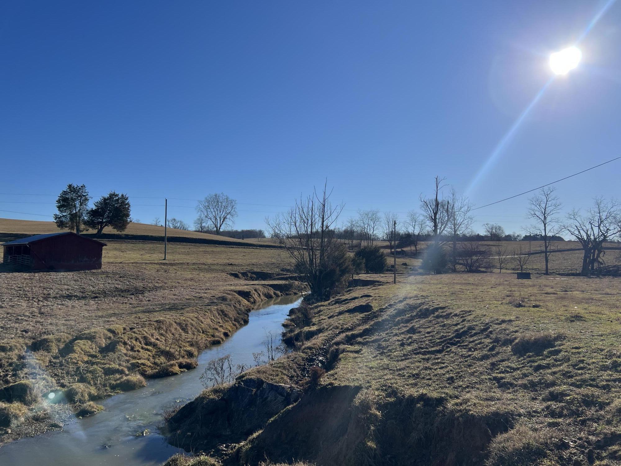 290 Lazy Brook Road Chuckey, TN 37641 - Photo 66 of 103 A41F2238-02E3-40CB-A591-EF27D59D4D5B
