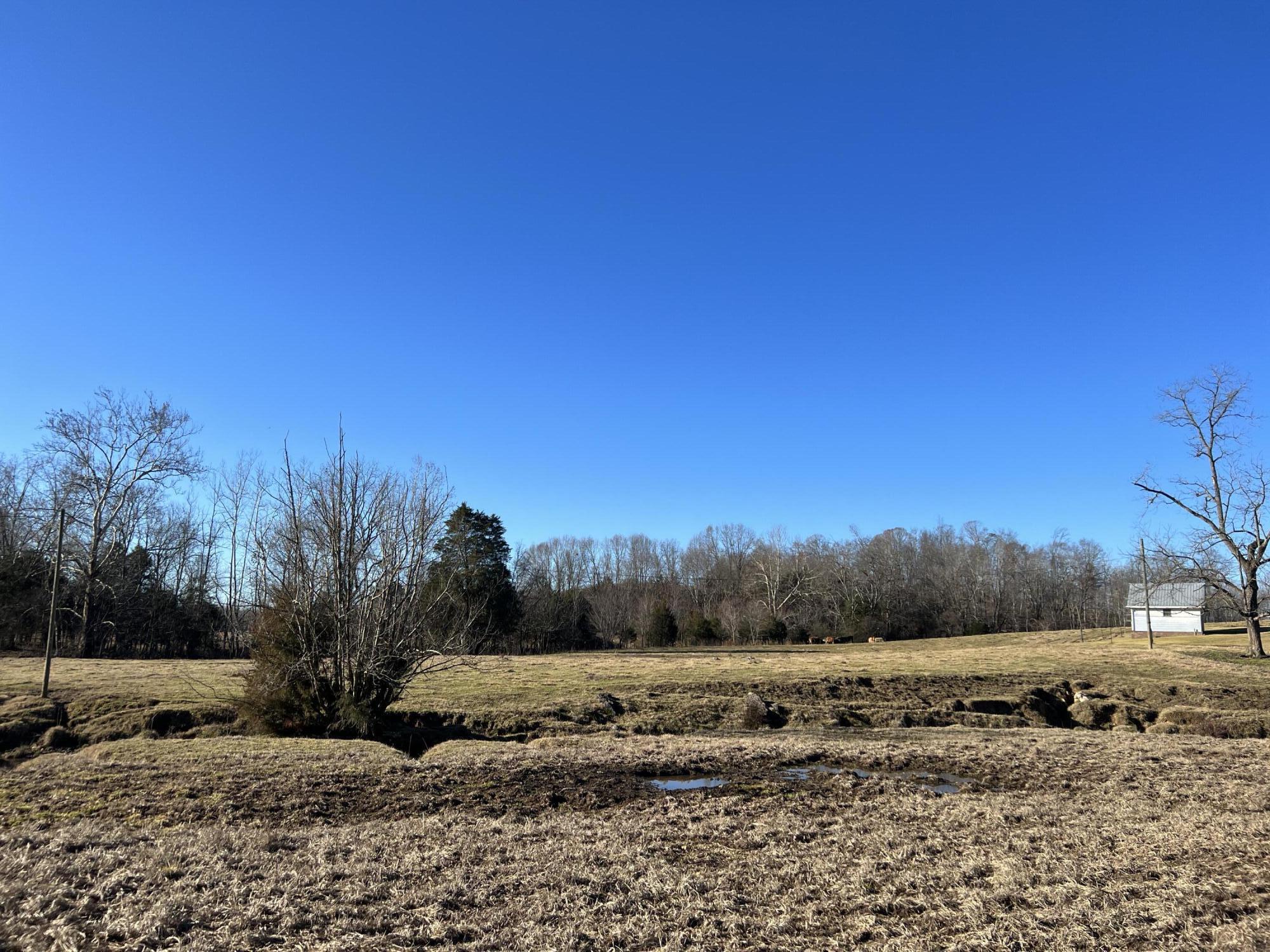 290 Lazy Brook Road Chuckey, TN 37641 - Photo 74 of 103 BE8C73E1-CF4E-4070-A6C9-1EFDCF190BEB