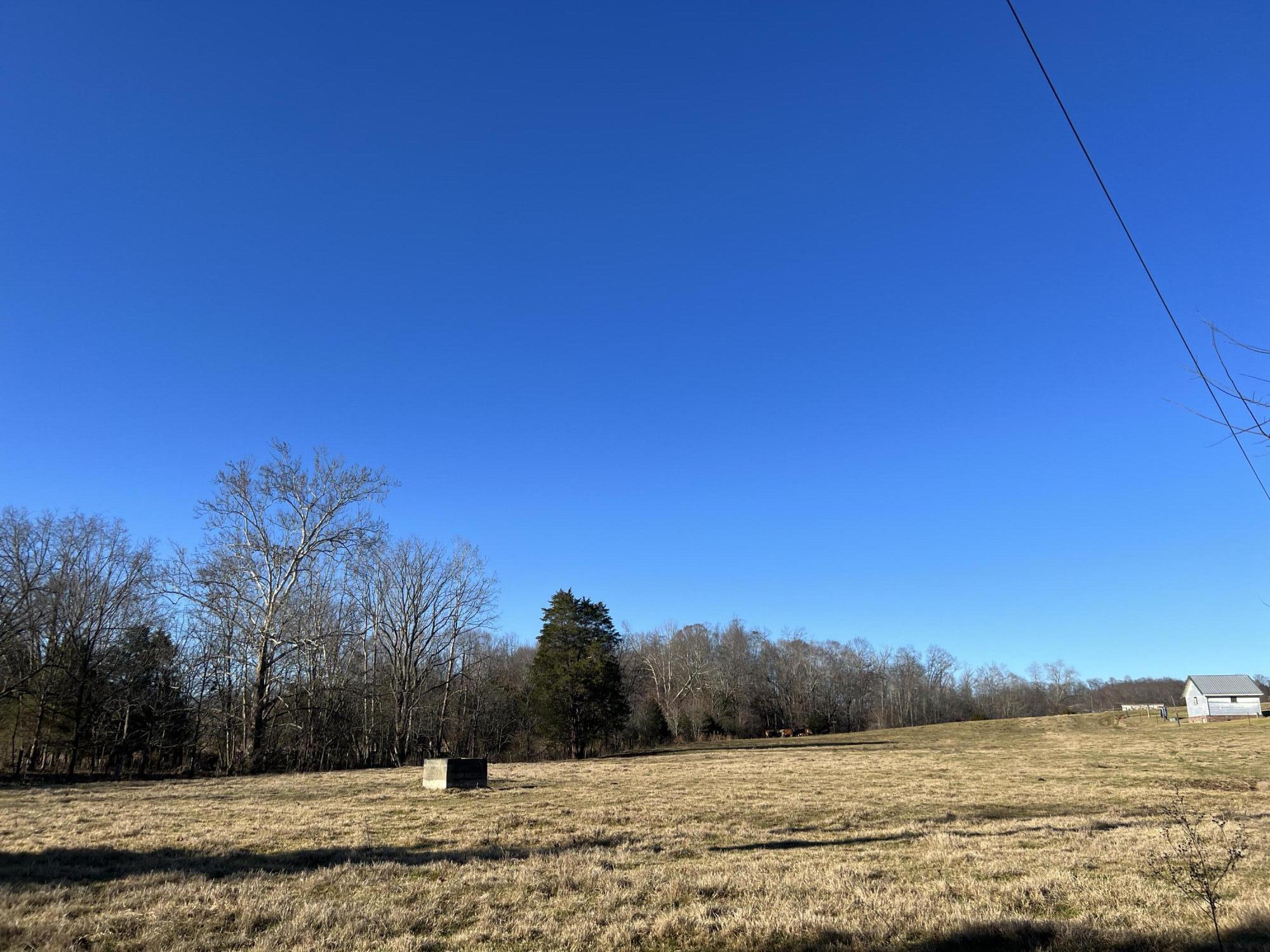 290 Lazy Brook Road Chuckey, TN 37641 - Photo 80 of 103 A3F0550A-EB07-4B84-8495-0120248193C5