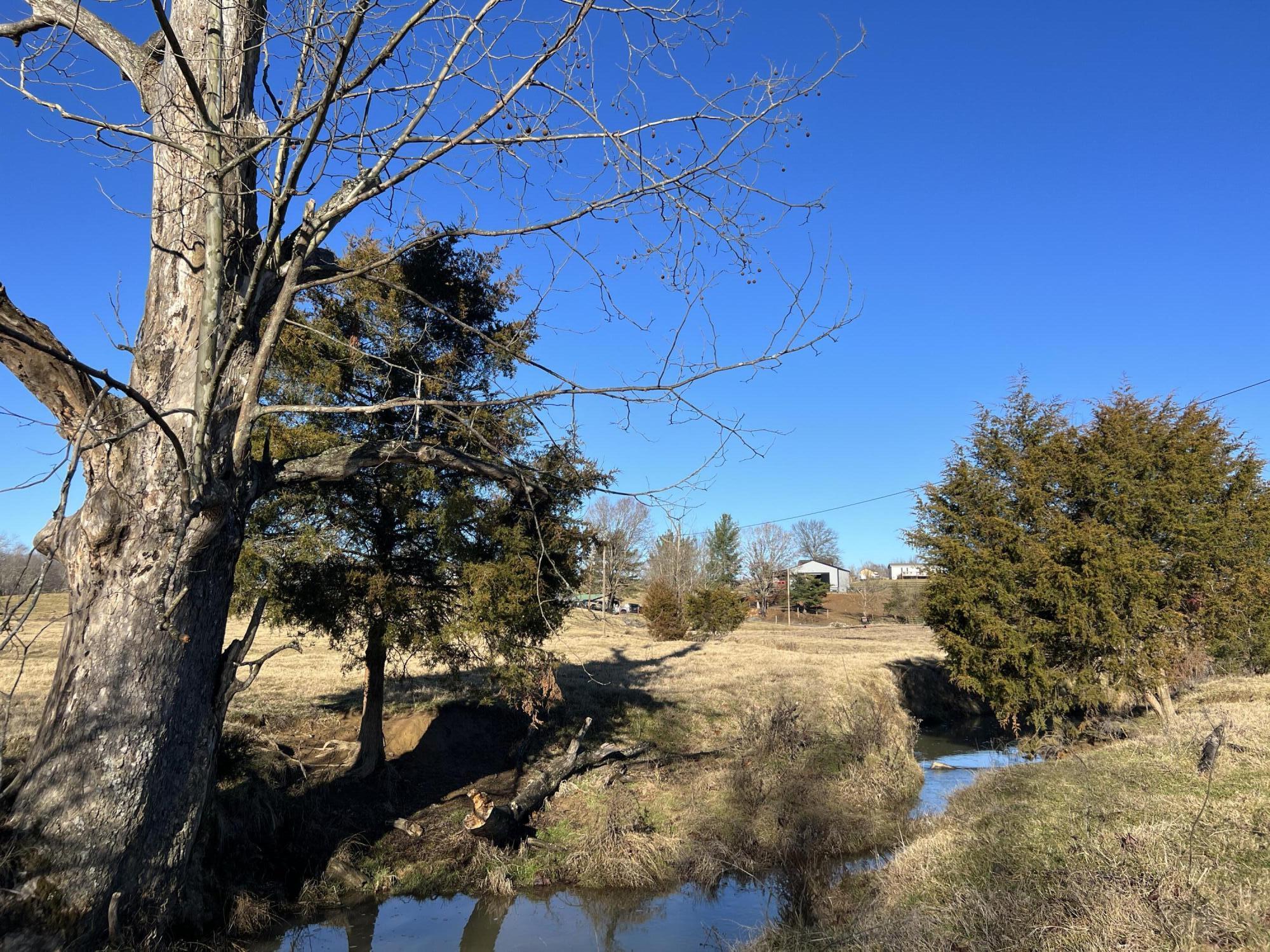 290 Lazy Brook Road Chuckey, TN 37641 - Photo 83 of 103 B9151B81-83FE-4D38-B37E-8B4CD0693A6B