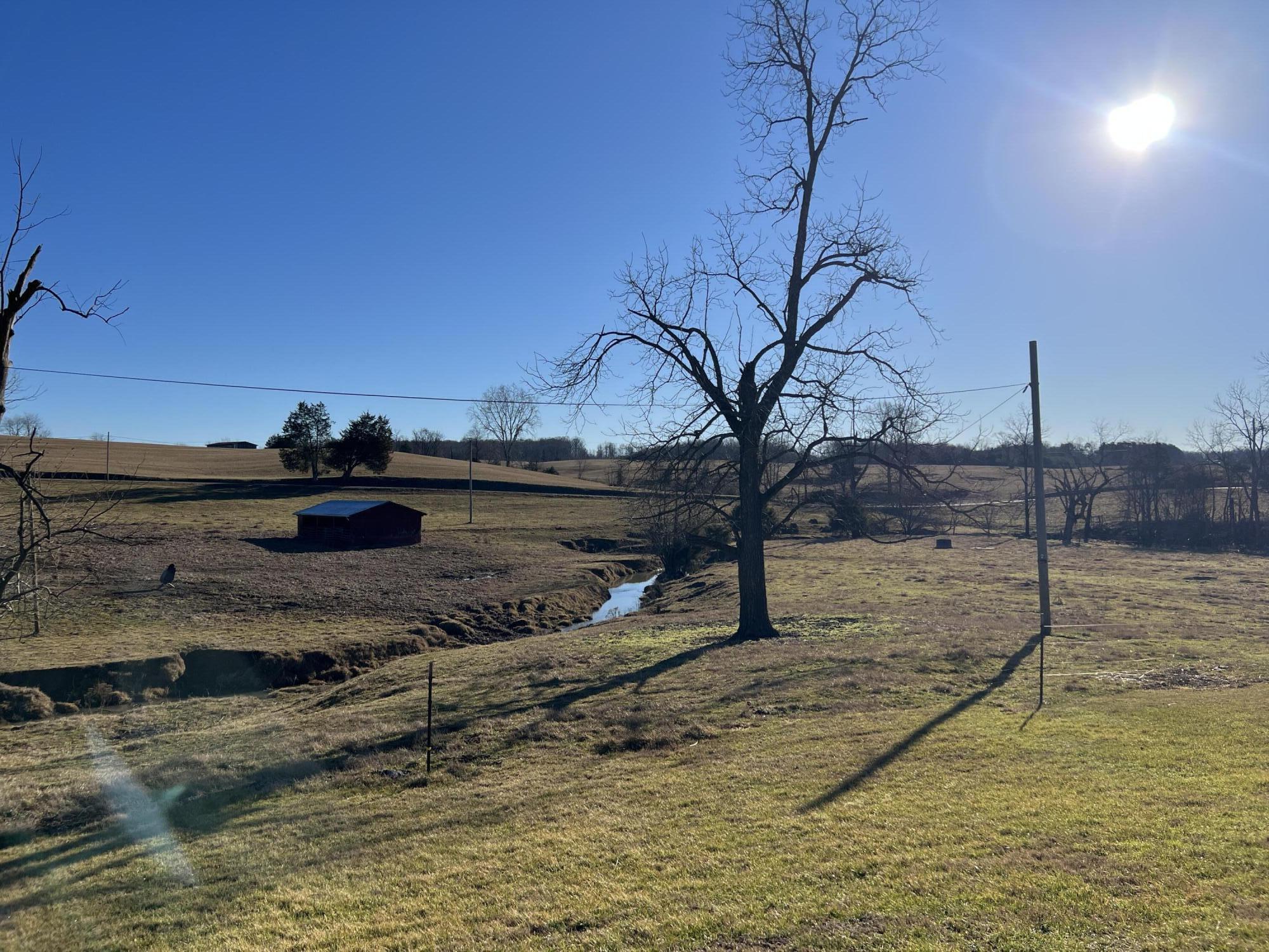 290 Lazy Brook Road Chuckey, TN 37641 - Photo 98 of 103 5DBA070C-D40F-4E08-A106-3C74C304692C
