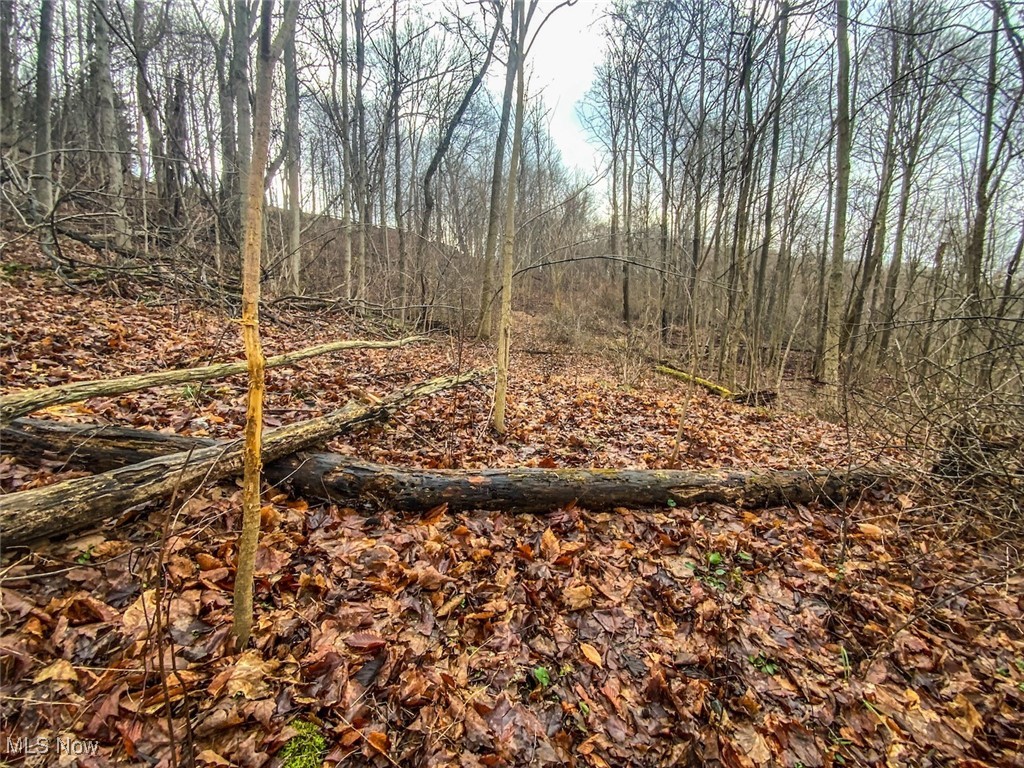 0 New Cut Road Shadyside, OH 43947 - Photo 21 of 37 View of nature