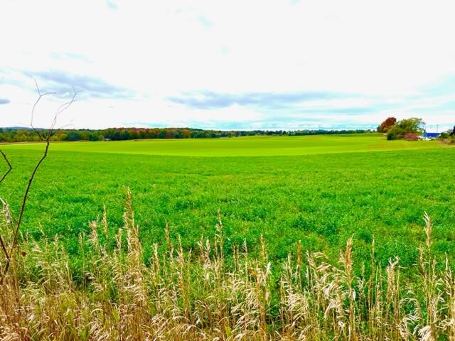1745 West Jackson Road Hart, MI 49420 - Photo 26 of 27 IMG_5077