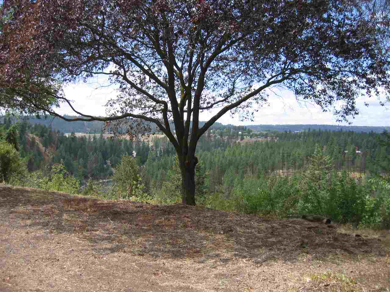 1611 North W Point Road Spokane, WA 99201 - Photo 16 of 20 Gallery Image 16