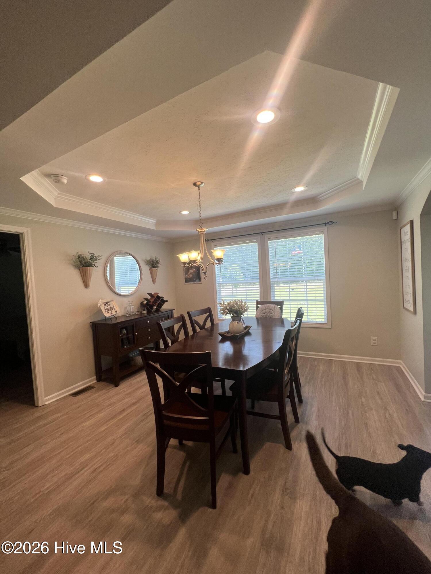 1810 Temperance Hall Road Rocky Mount, NC 27801 - Photo 21 of 55 Tray Ceiling with recessed lighting