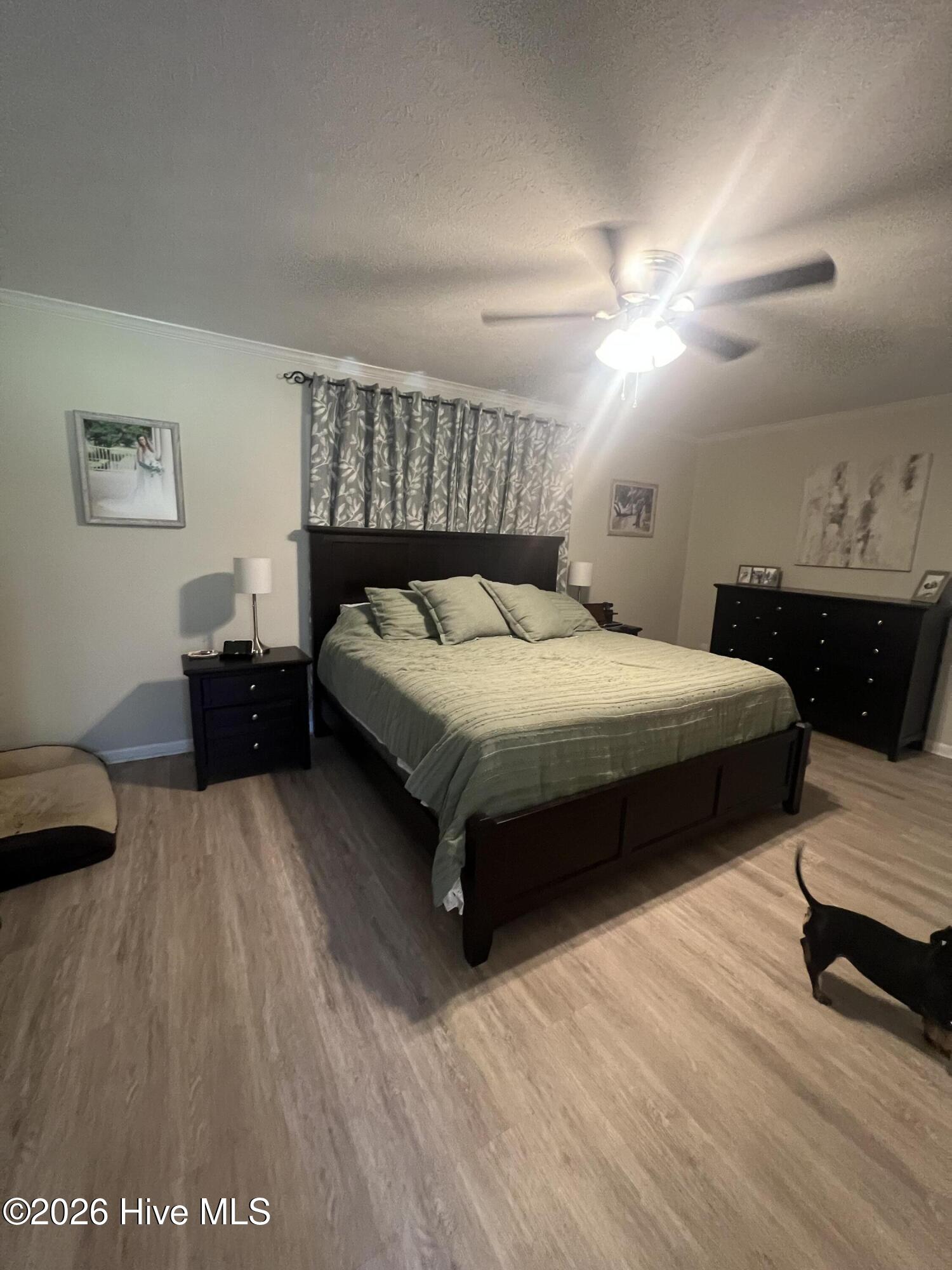 1810 Temperance Hall Road Rocky Mount, NC 27801 - Photo 30 of 55 IMG_0343