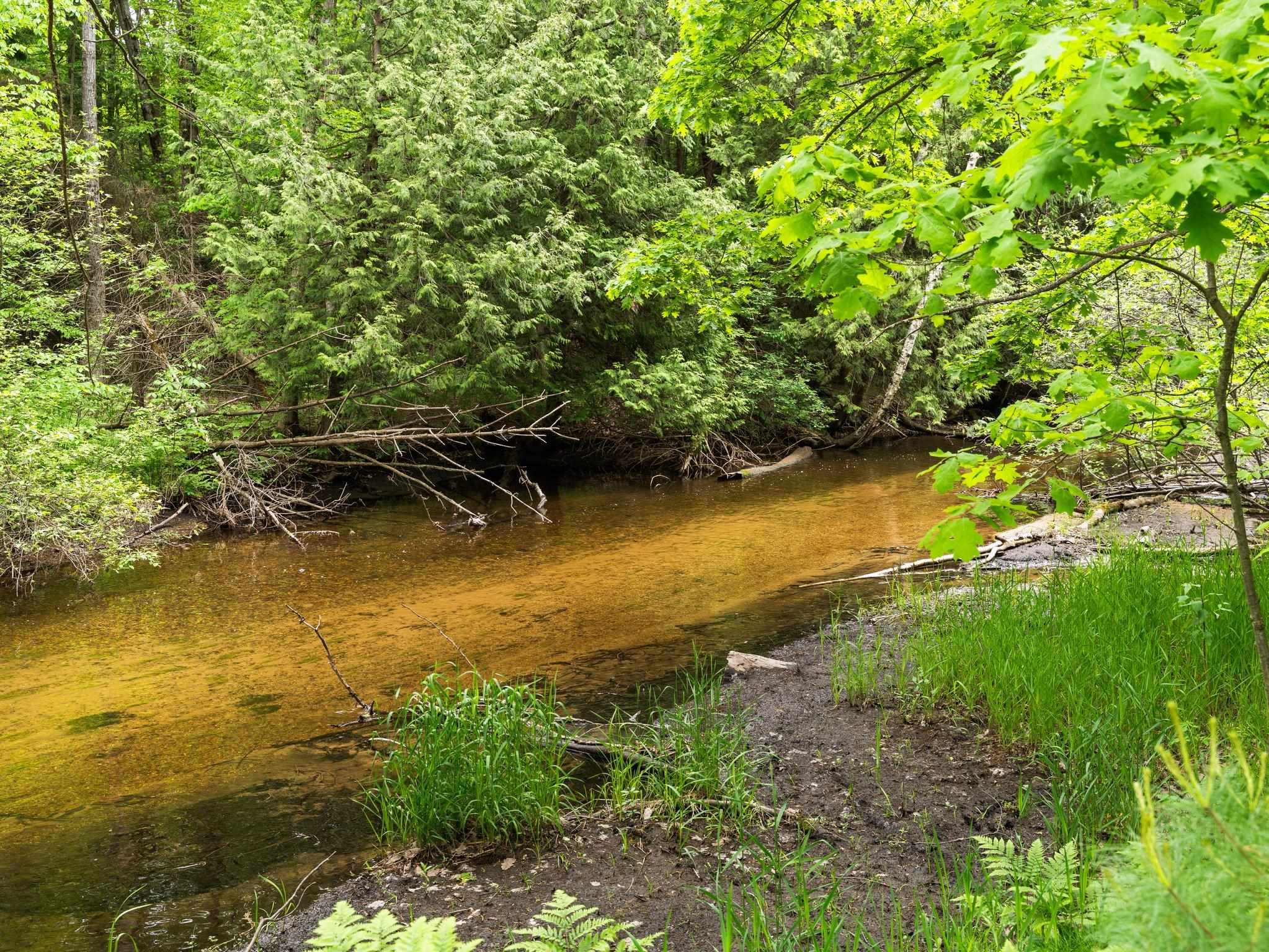 8415 West Workman Road Lake City, MI 49651 - Photo 59 of 83