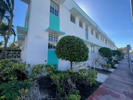 a view of a garden with plants