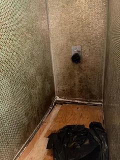a bathroom with a shower and a toilet