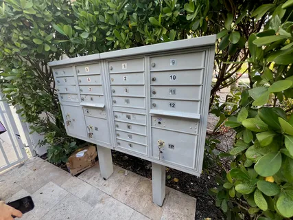 a view of a wooden door and some plants