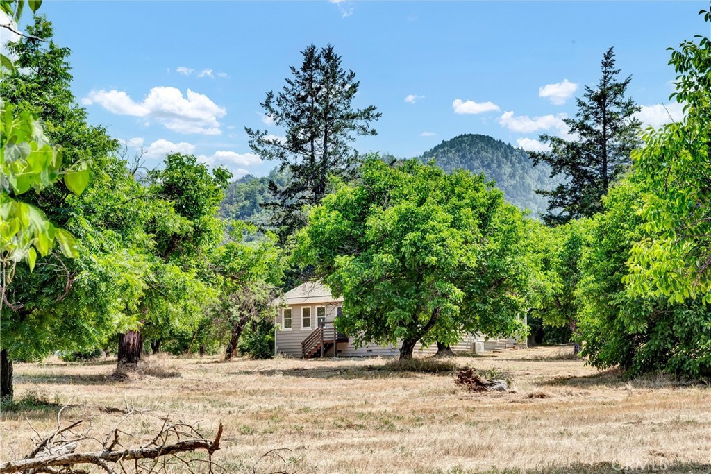 22550 Shady Grove Road Middletown, CA 95461 - Photo 29 of 68 back side view of home