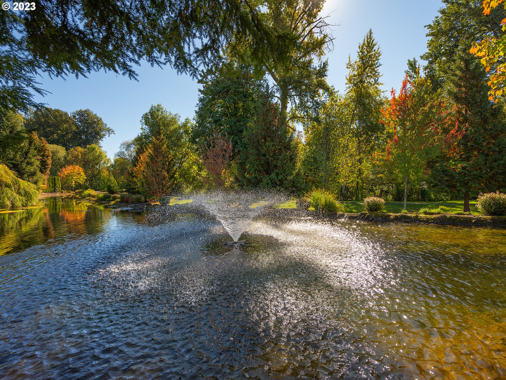 3384 Lakeside Drive Eugene, OR 97401 - Photo 18 of 48 a view of a yard with a tree