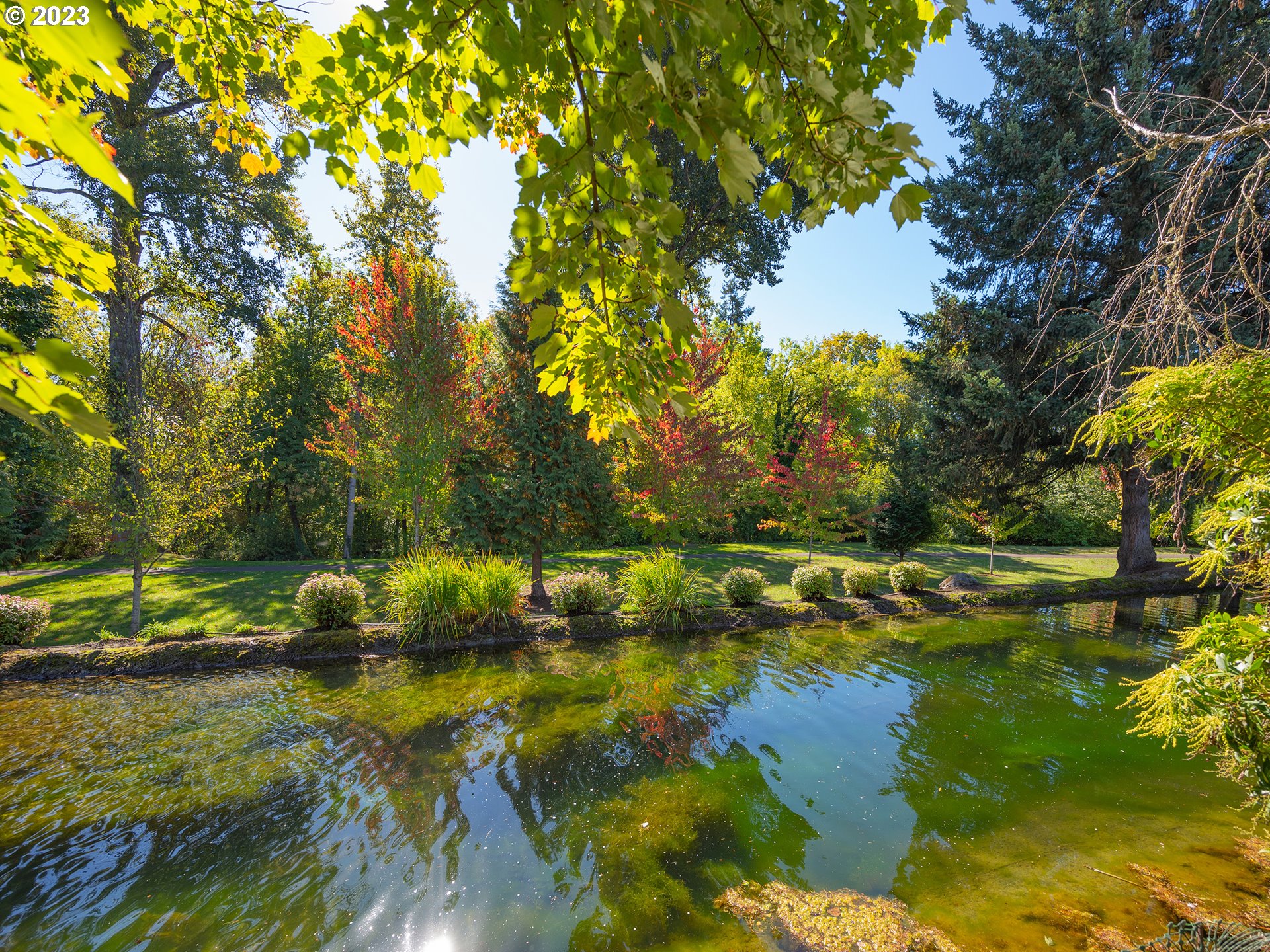 3384 Lakeside Drive Eugene, OR 97401 - Photo 19 of 48 a view of yard