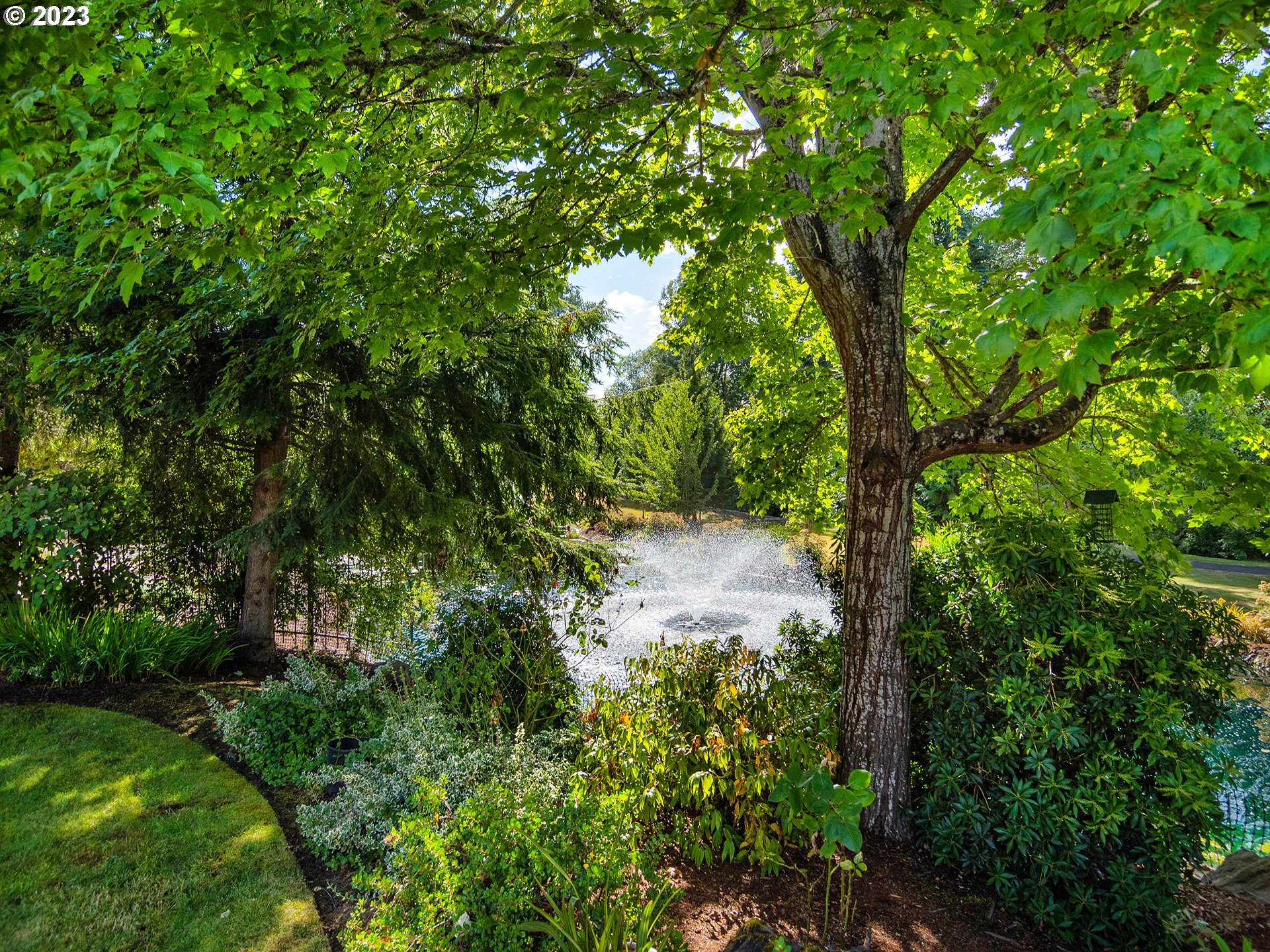 3384 Lakeside Drive Eugene, OR 97401 - Photo 20 of 48 a view of a yard with a tree
