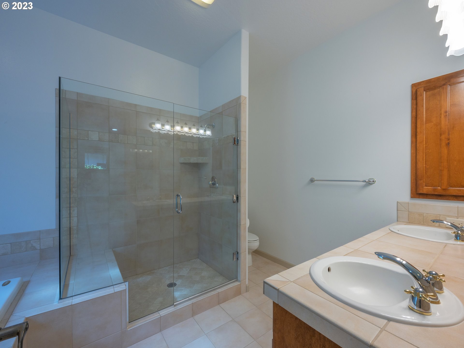 3384 Lakeside Drive Eugene, OR 97401 - Photo 24 of 48 a bathroom with a sink mirror and shower