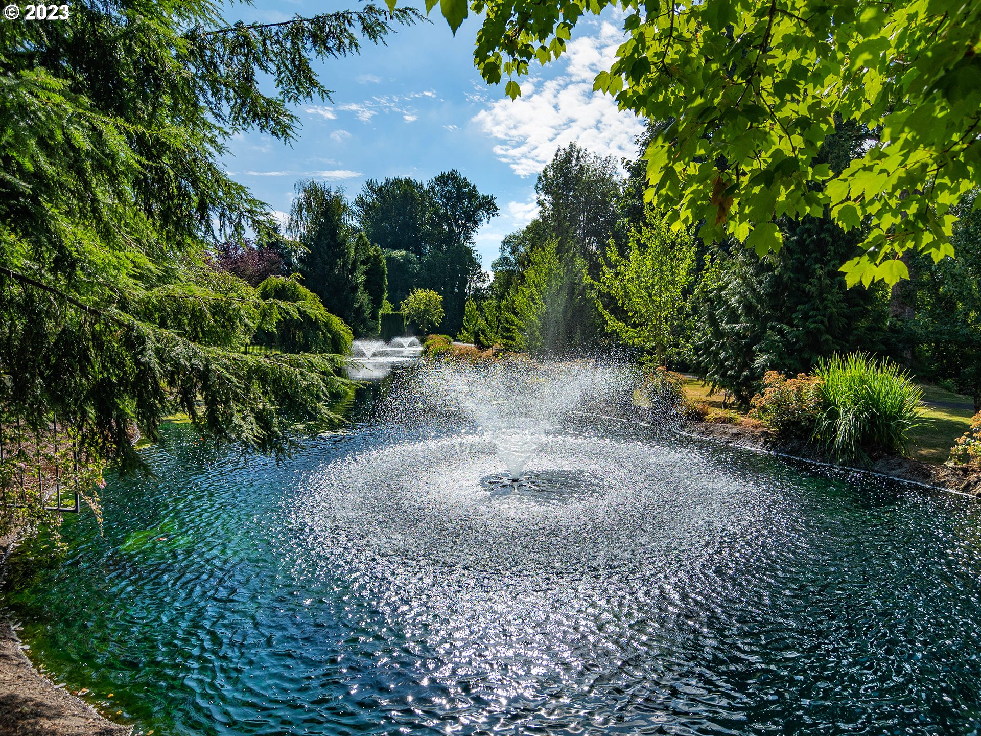 3384 Lakeside Drive Eugene, OR 97401 - Photo 3 of 48 a view of a pathway with a tree