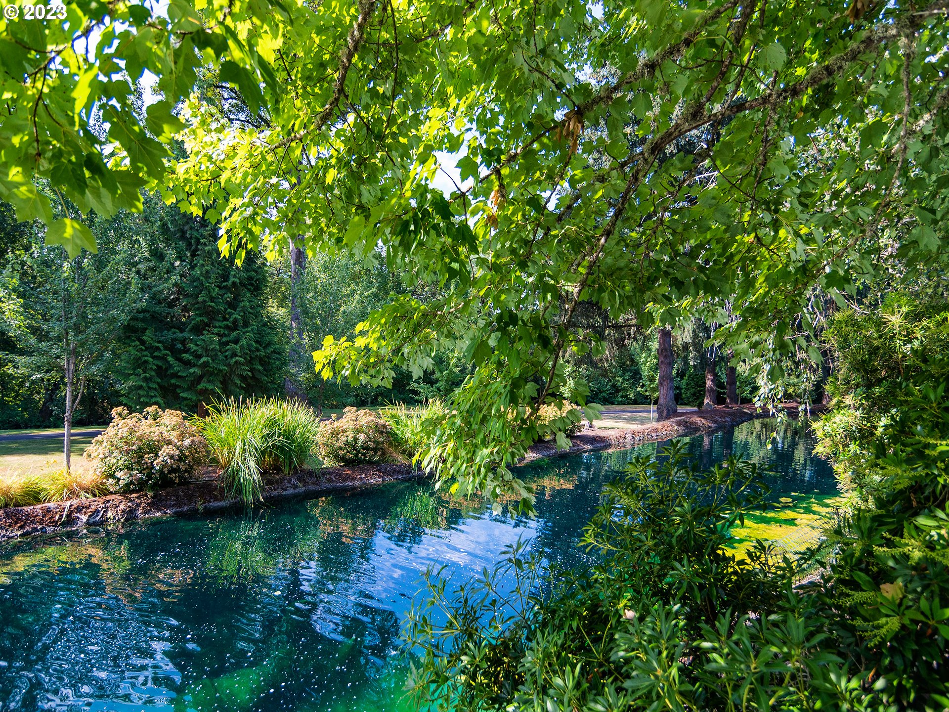 3384 Lakeside Drive Eugene, OR 97401 - Photo 29 of 48 a view of a lake view