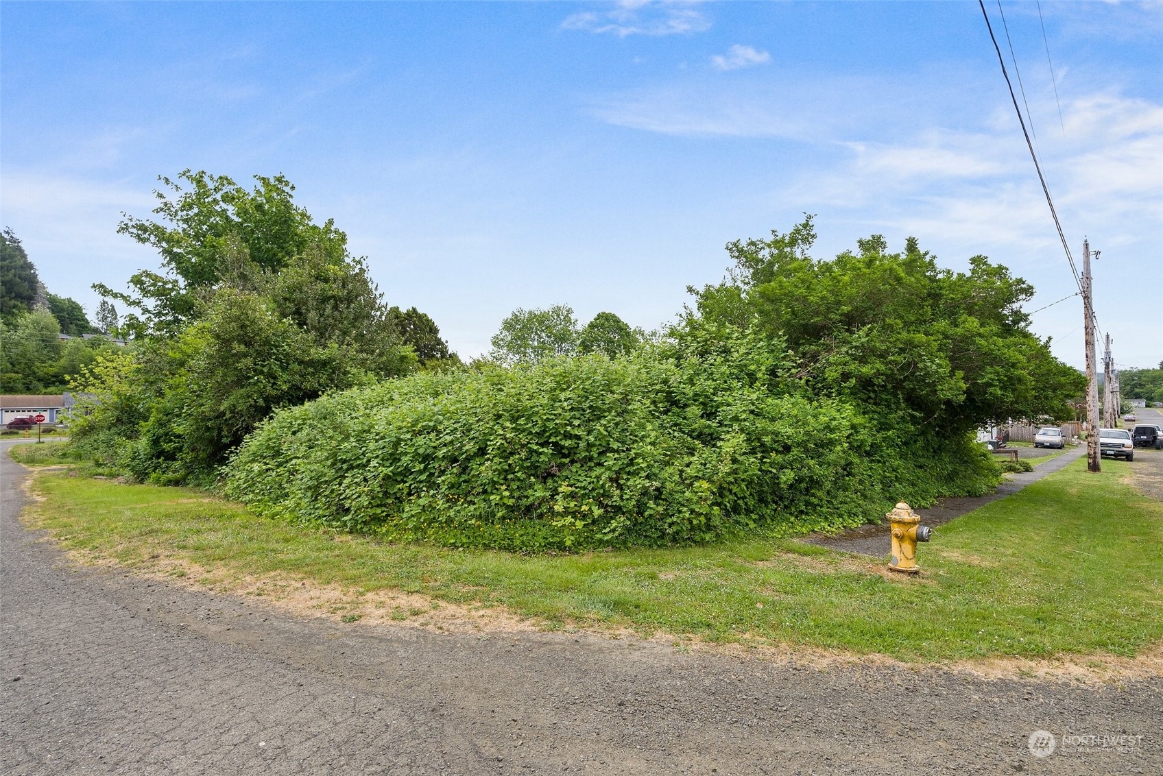 1235 Cedar Street Raymond, WA 98577 - Photo 22 of 23 a backyard of a house with lots of green space