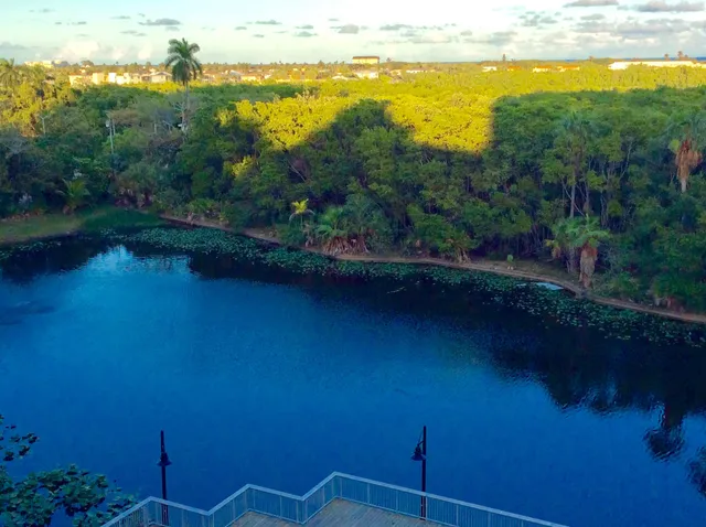 a view of an ocean and beach