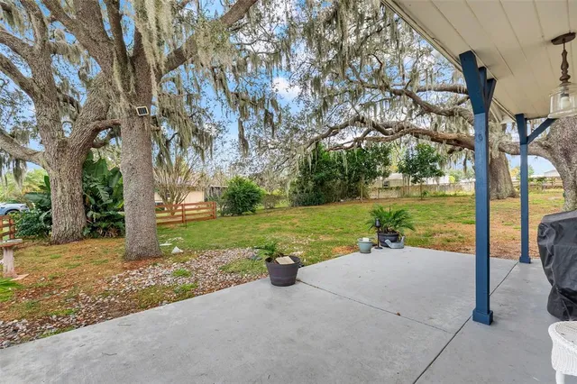 a view of a park with large trees
