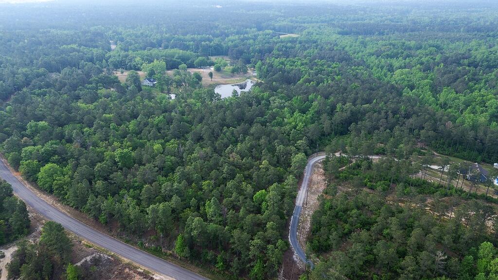 0 Mt Zion Road, Unit 5 Trenton, SC 29847 - Photo 11 of 26